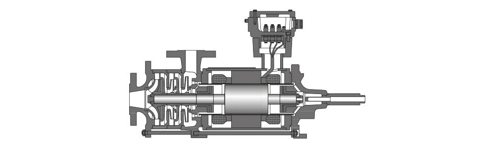 Type CAM Vue en coupe d'une pompe à rotor noyé dotée d'une protection contre les explosions, montrant les composants internes tels que le rotor, le bobinage stator et la roue de refroidissement.