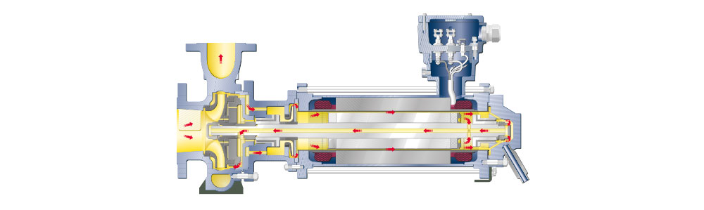 Pompe à rotor noyé CNF / CAM Coupe transversale d'une pompe centrifuge avec des flèches indiquant le trajet du fluide à l'intérieur de la boîte de pompe.