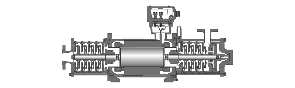 Type CAM-Tandem Coupe transversale d'une pompe à rotor noyé avec protection contre les explosions, à plusieurs étages, avec boîtier de commande en haut