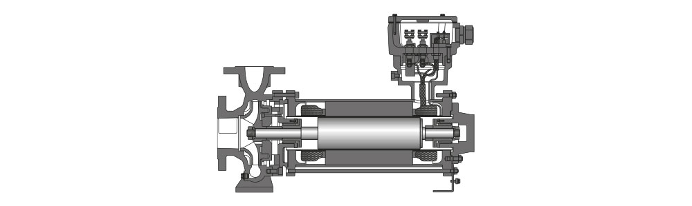 Type CN / CNF Vue en coupe technique d'une pompe à rotor noyé avec protection contre les explosions, représentée en gris