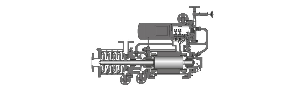 Type CAMKr Coupe transversale d'une pompe à rotor noyé avec protection contre les explosions ; dessin en coupe représentant le rotor et le corps de pompe