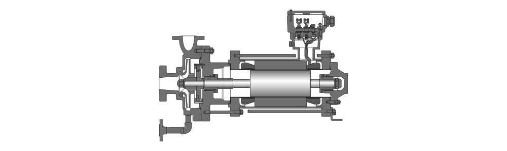 Type CNP / CNPF Vue en coupe d'une pompe à rotor noyé équipée d'une protection contre les explosions, de forme de construction horizontale, avec rotor et carter visibles.