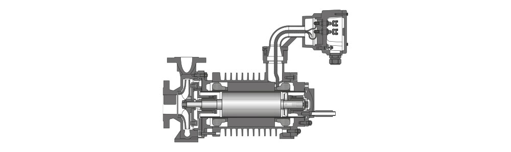 Types CN et CNF Vue en coupe d'une pompe à rotor noyé avec protection contre les explosions, montrant les composants internes tels que le rotor et le corps de pompe.