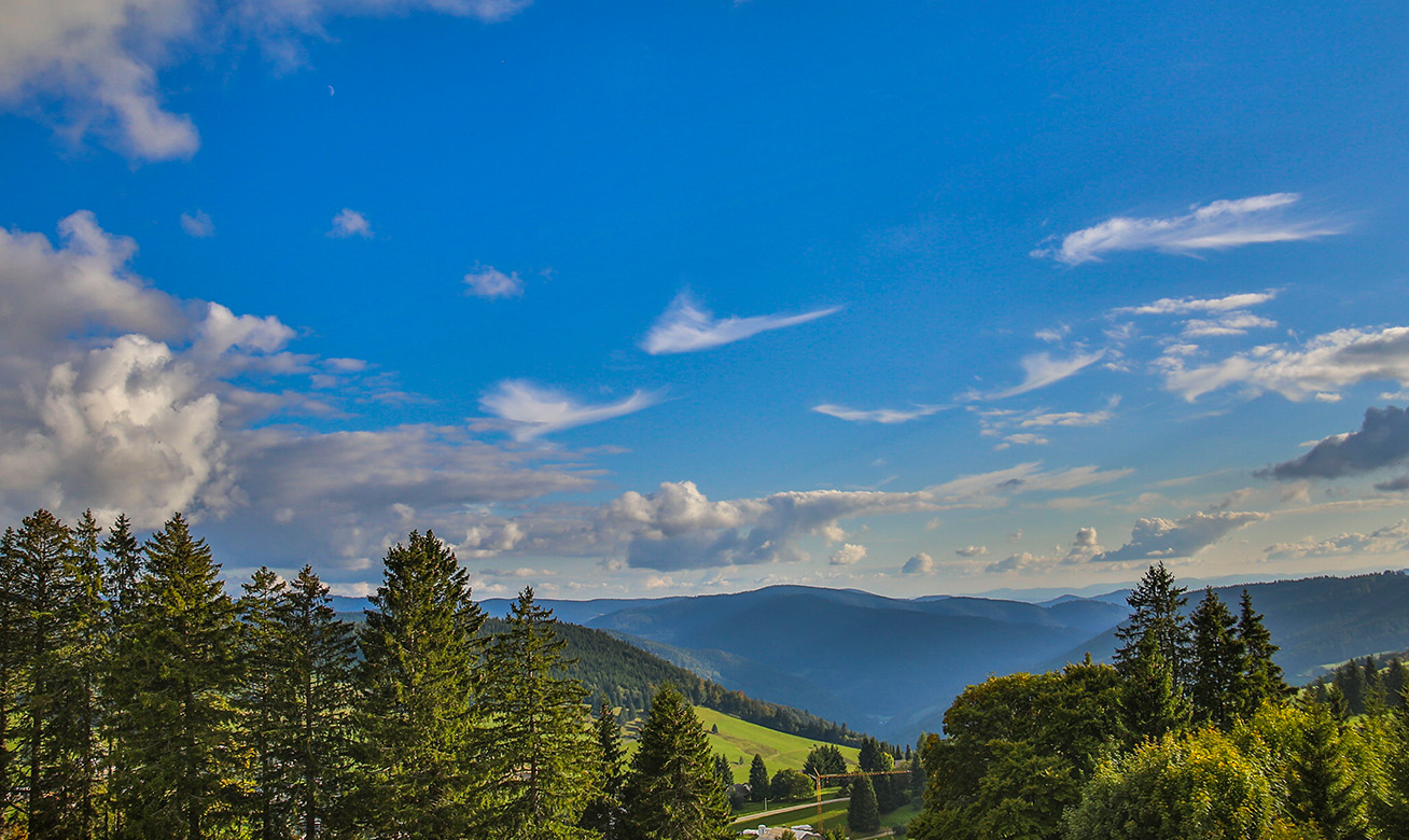 <h2>D’une pionnière de la technologie des pompes sans joint d'étanchéité au cœur battant de l’industrie</h2> Panoramic view of the Black Forest with green valleys, conifer trees, rolling hills, and a blue sky with white clouds.