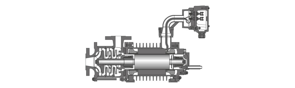 Type CAM Dessin en coupe d'une pompe à rotor noyé avec protection contre les explosions, montrant les composants internes tels que le rotor, la roue de refroidissement et le corps de pompe.