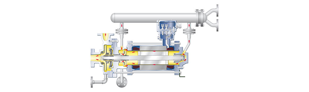 Pompes haute température conformes à la norme API 685 Vue technique en coupe transversale d'une pompe indiquant le sens d'écoulement, adaptée aux systèmes à énergie solaire.