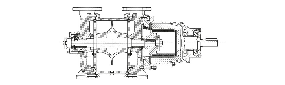 Type LVPM Dessin technique en coupe d'une pompe à vide à plusieurs étages, comprenant le carter, les roues de refroidissement, l'arbre et les paliers.
