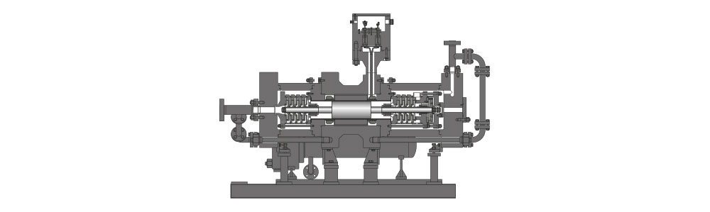 Type CAMH-Tandem Dessin en coupe d'une pompe à rotor noyé avec protection contre les explosions, vue de profil montrant les composants internes.